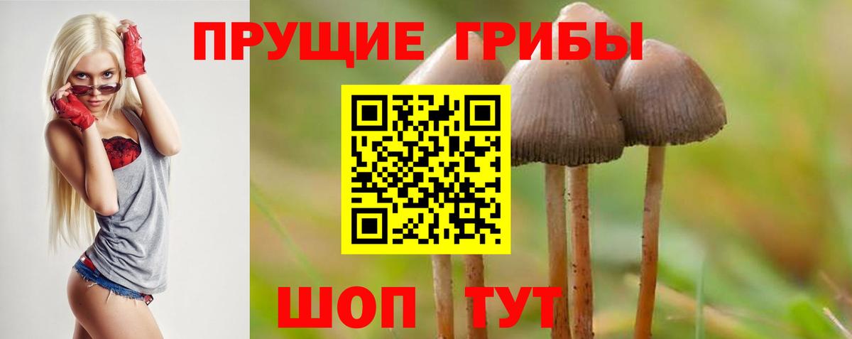 Троицк  Галлюциногенные грибы GOLDEN TEACHER  Вход с VPN 